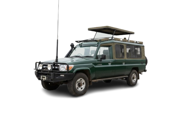 Safari jeep